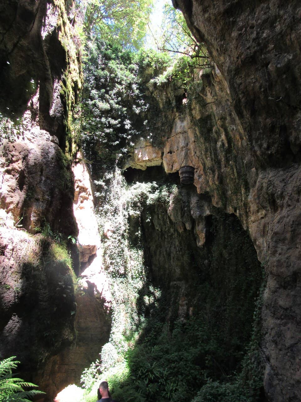 Animal Finding Adventure