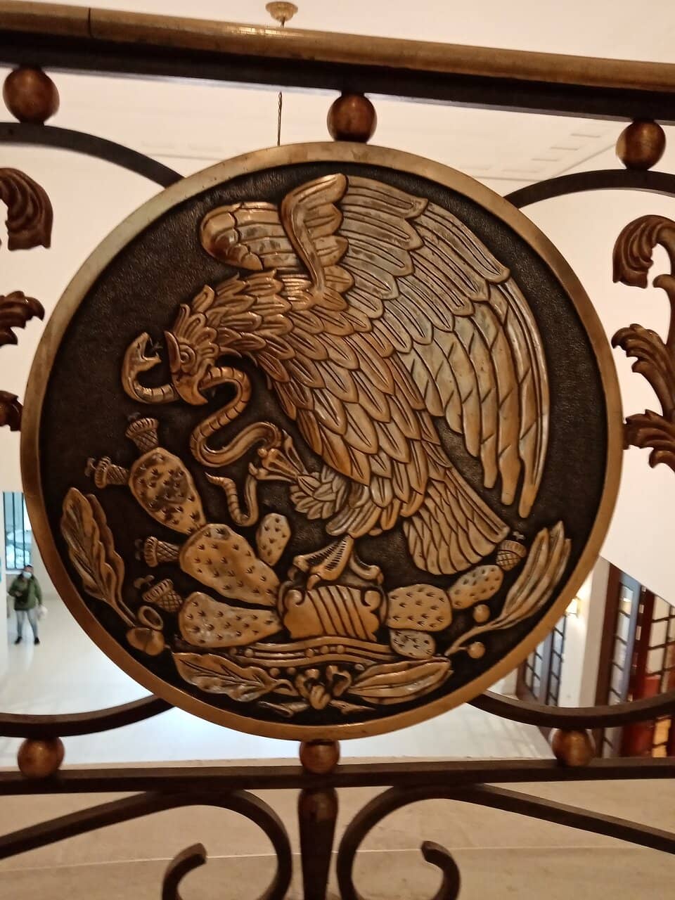 Jungle Trekking Experience