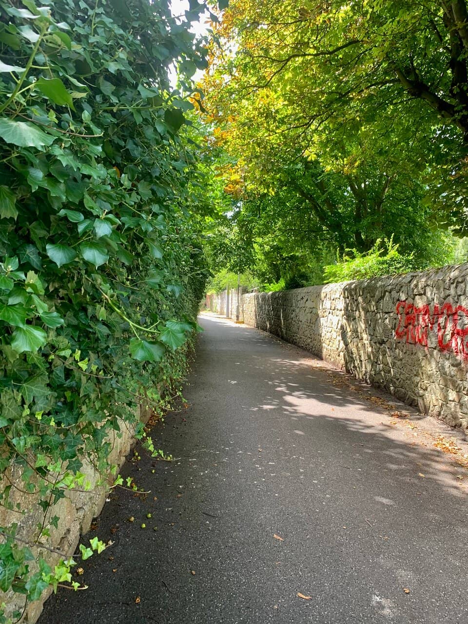 Technological Innovation