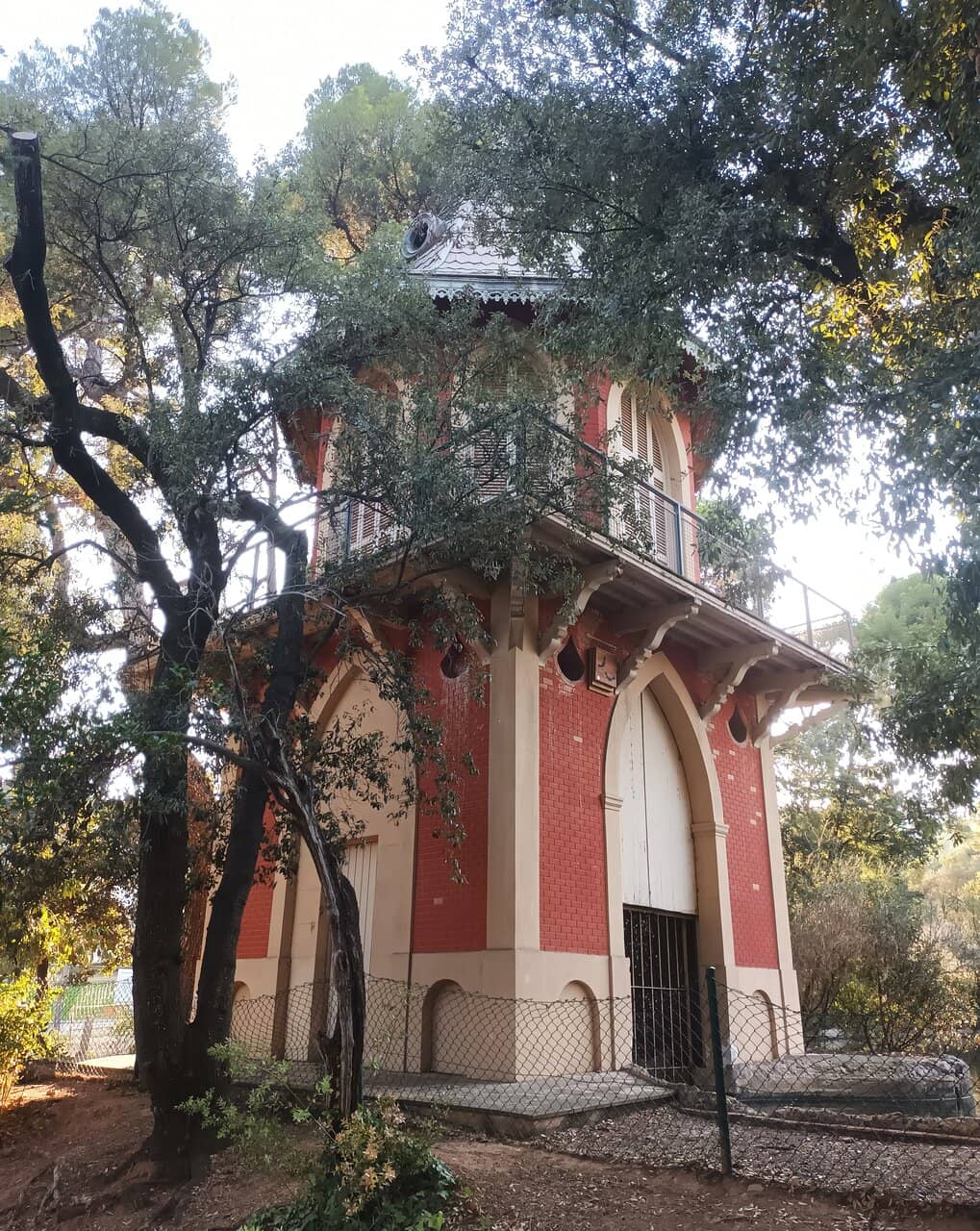 Tranquil Daytime Gardens