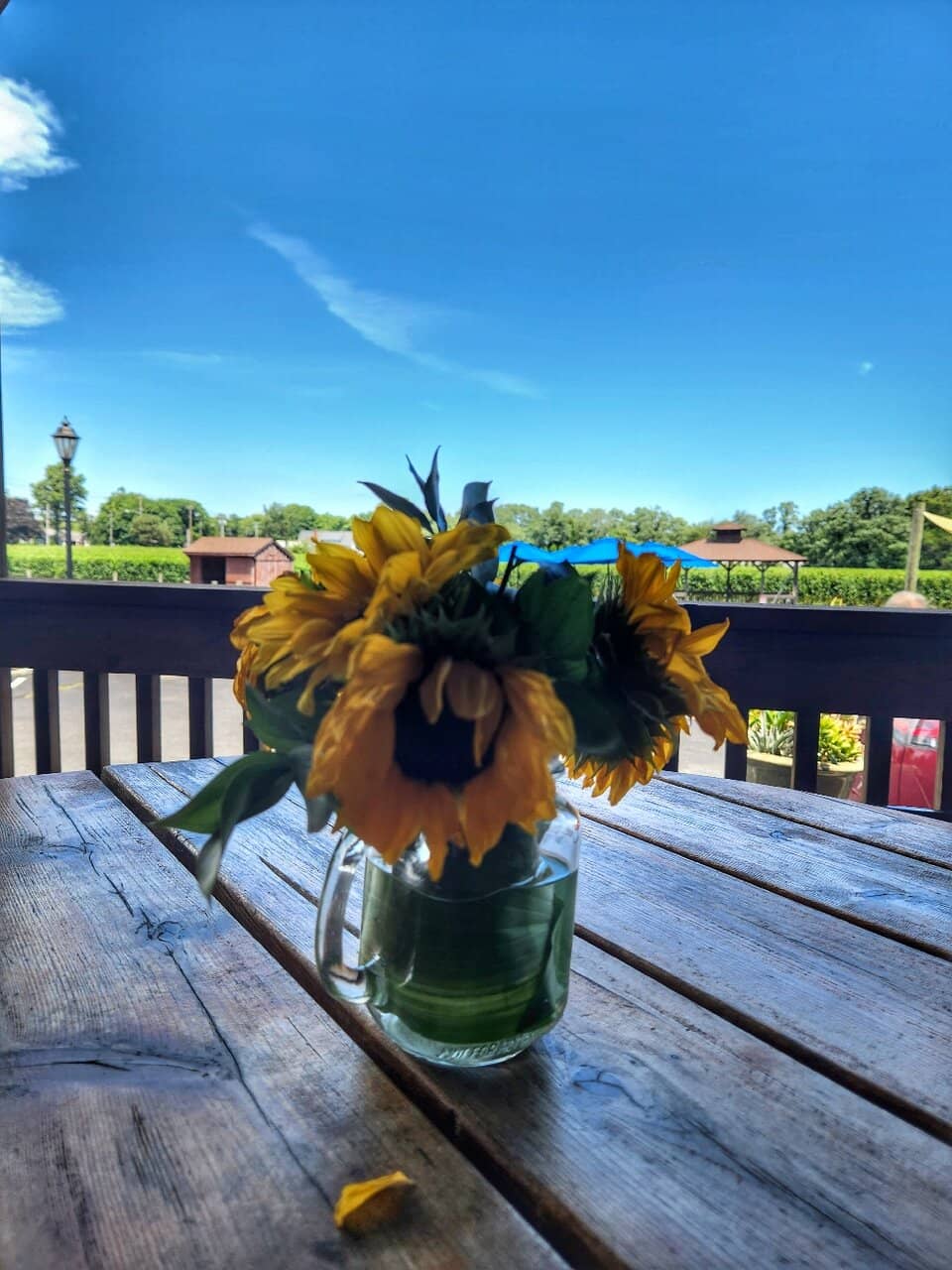 Wine Flights & Frozen Sangria