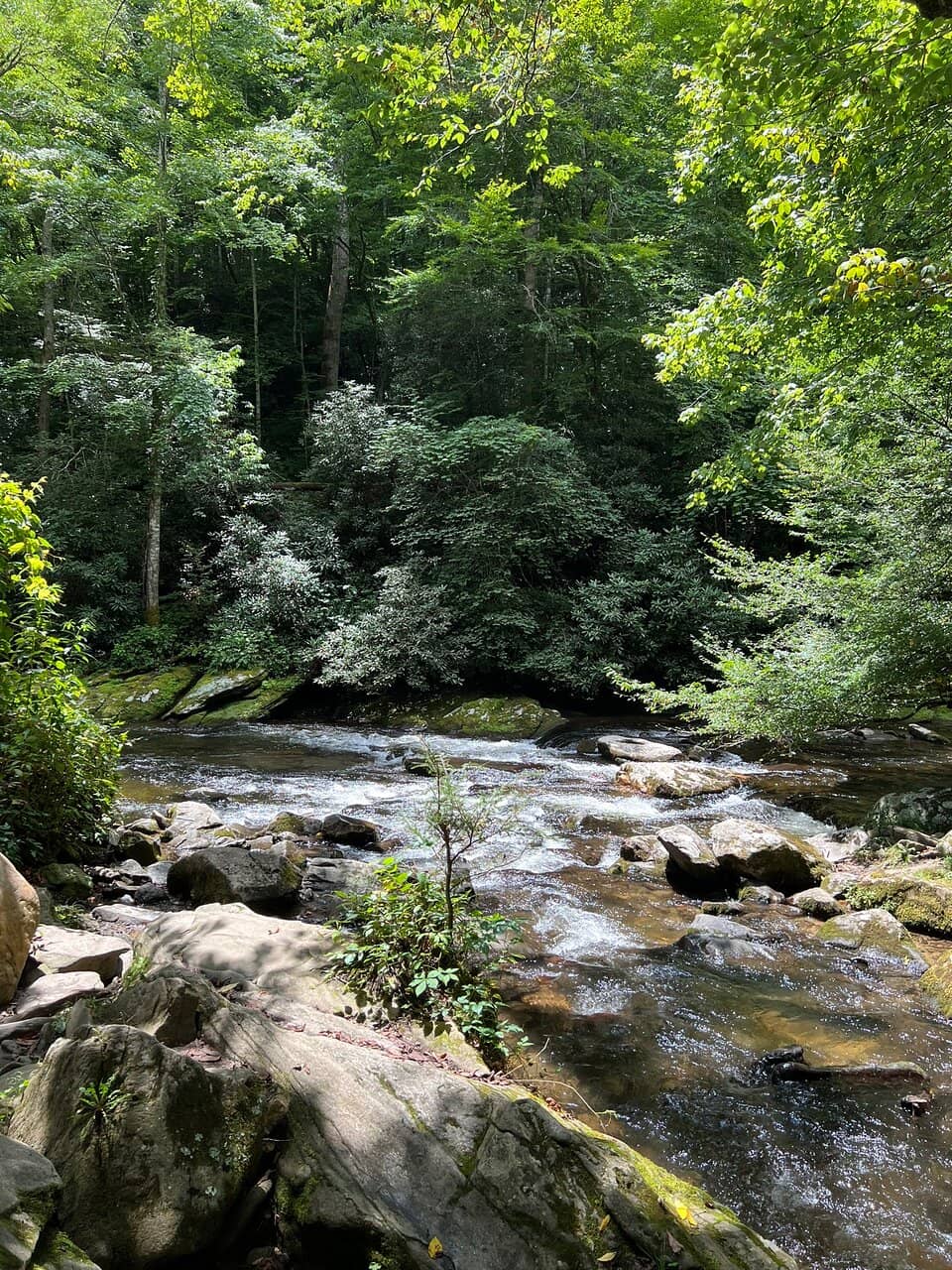 Deep Creek Waterfall Loop