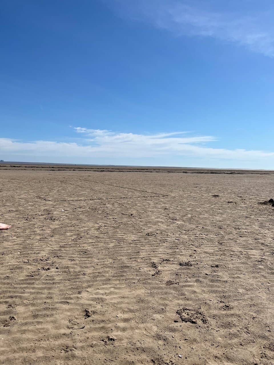 Cafe's Freshly Made Wraps