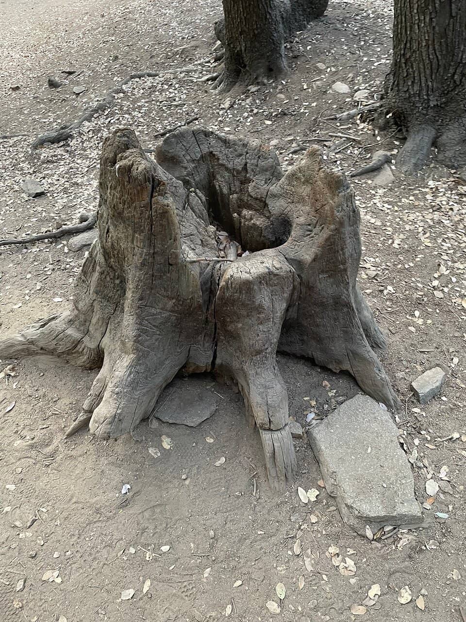 Creek Crossings & Bridges