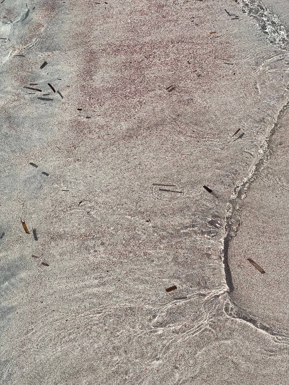 Panoramic Tavolara Views