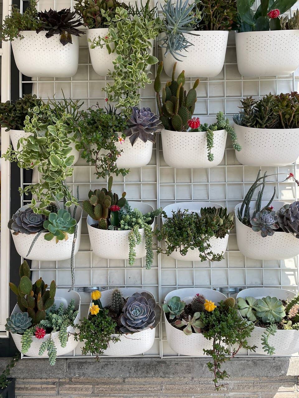 Whitefish City Beach