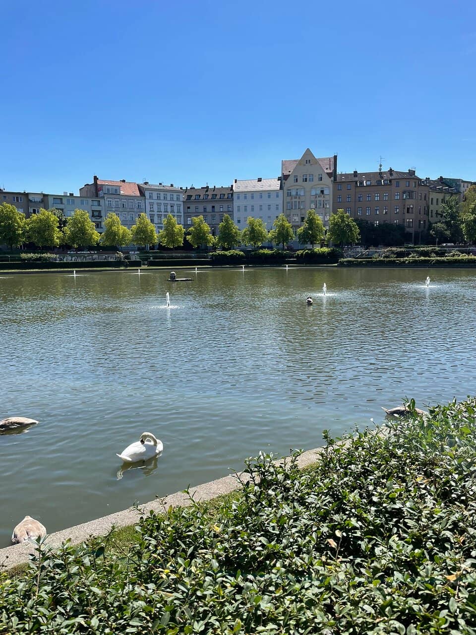 Historical Canal Basin