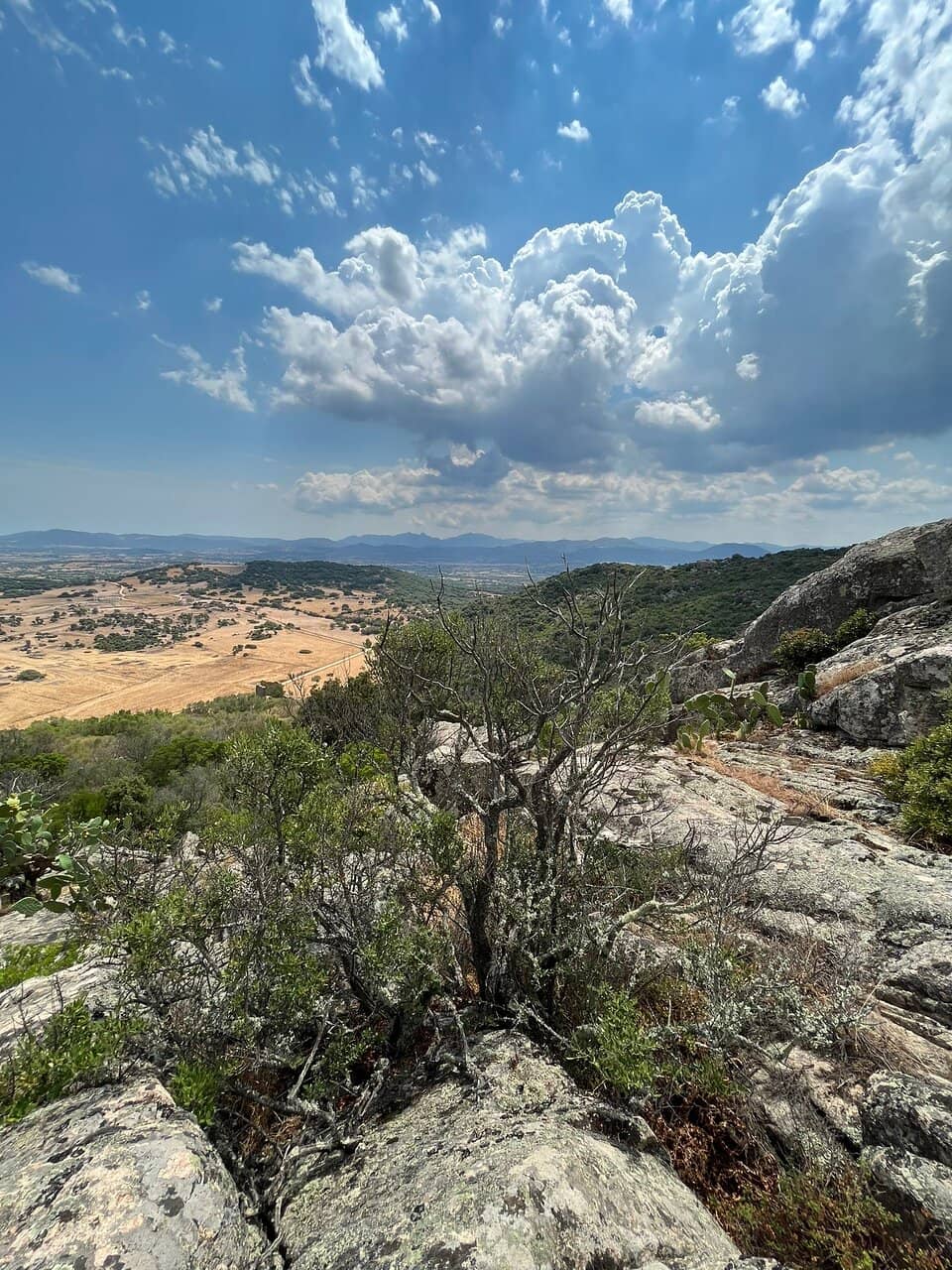Castle Ruins & Towers