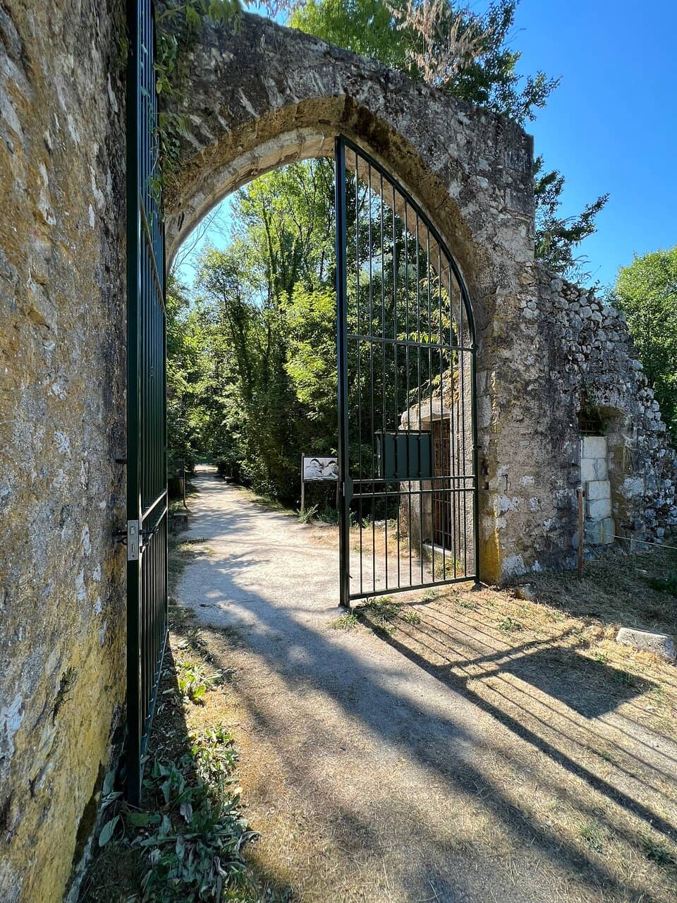 Surrounding Park Paths