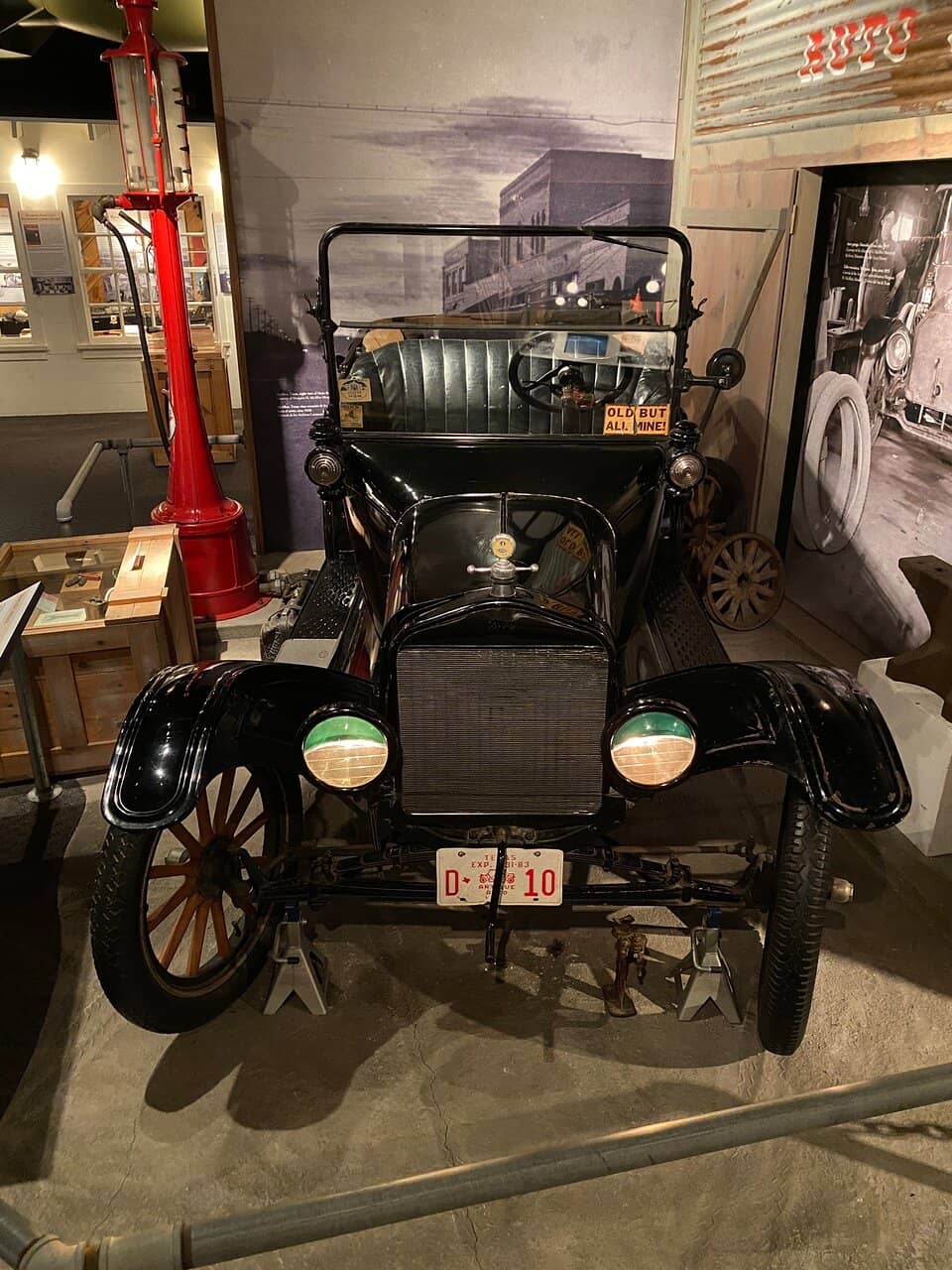 Indigenous Peoples' History