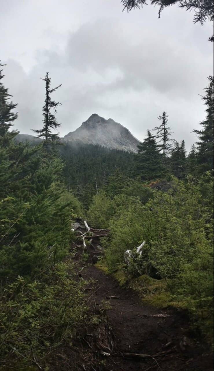 Lower Reid Falls & Gold Rush Cemetery