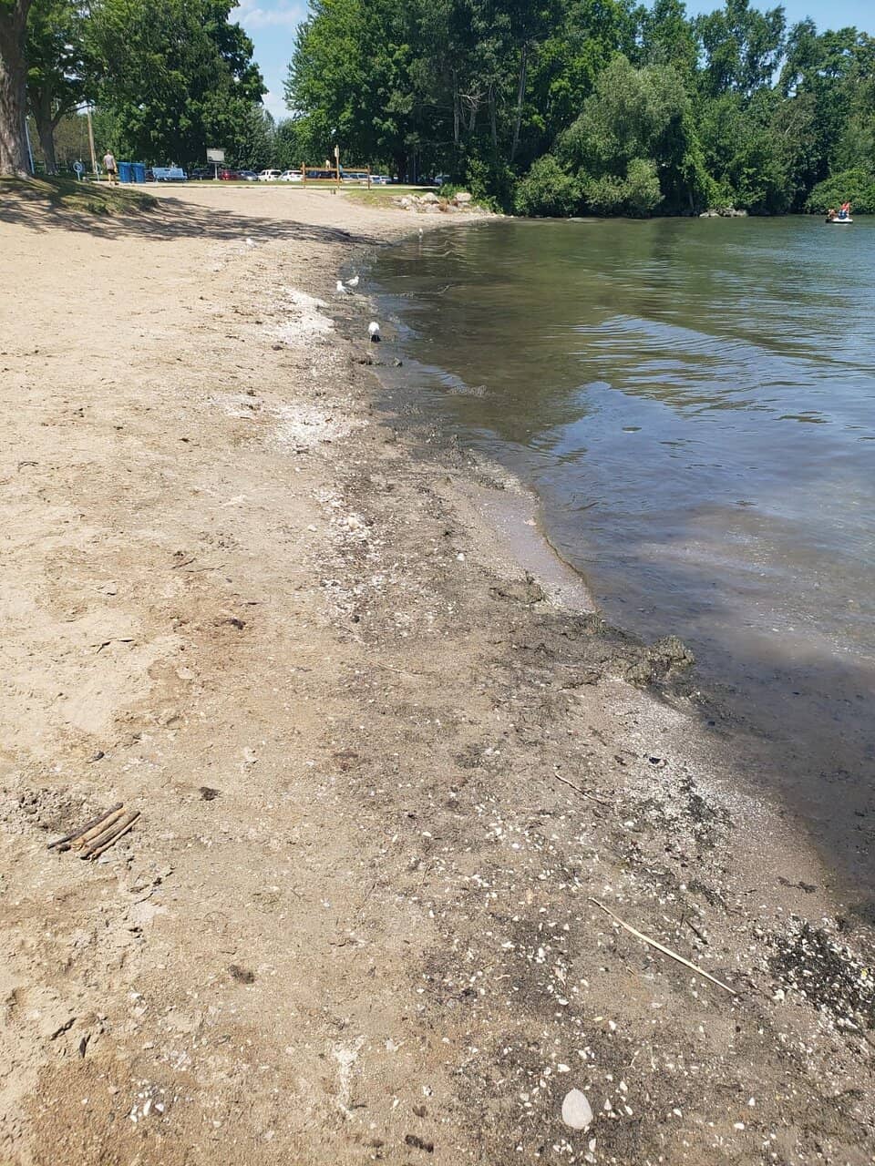Paddle Board Launch Point