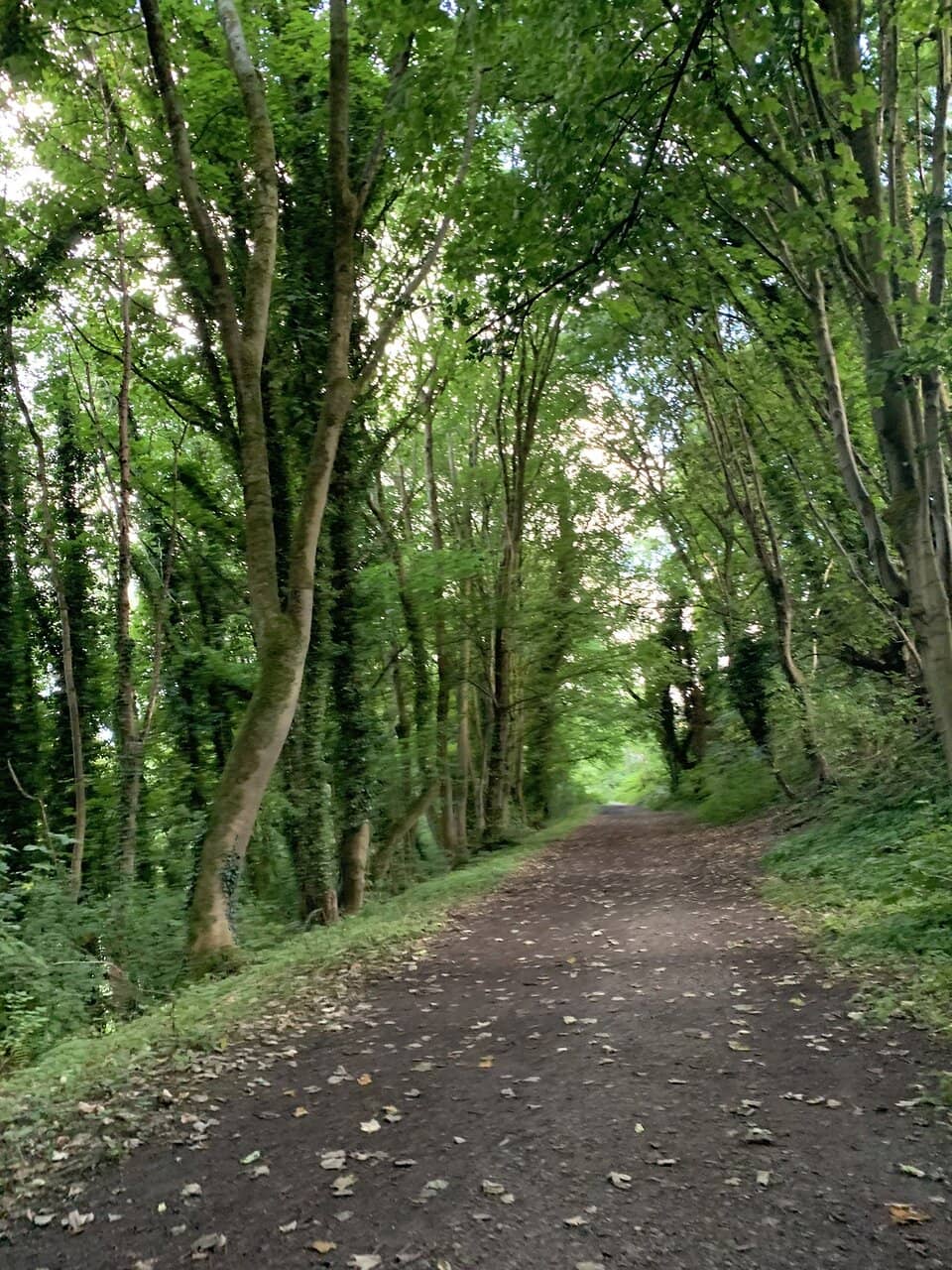 Children's Play Area