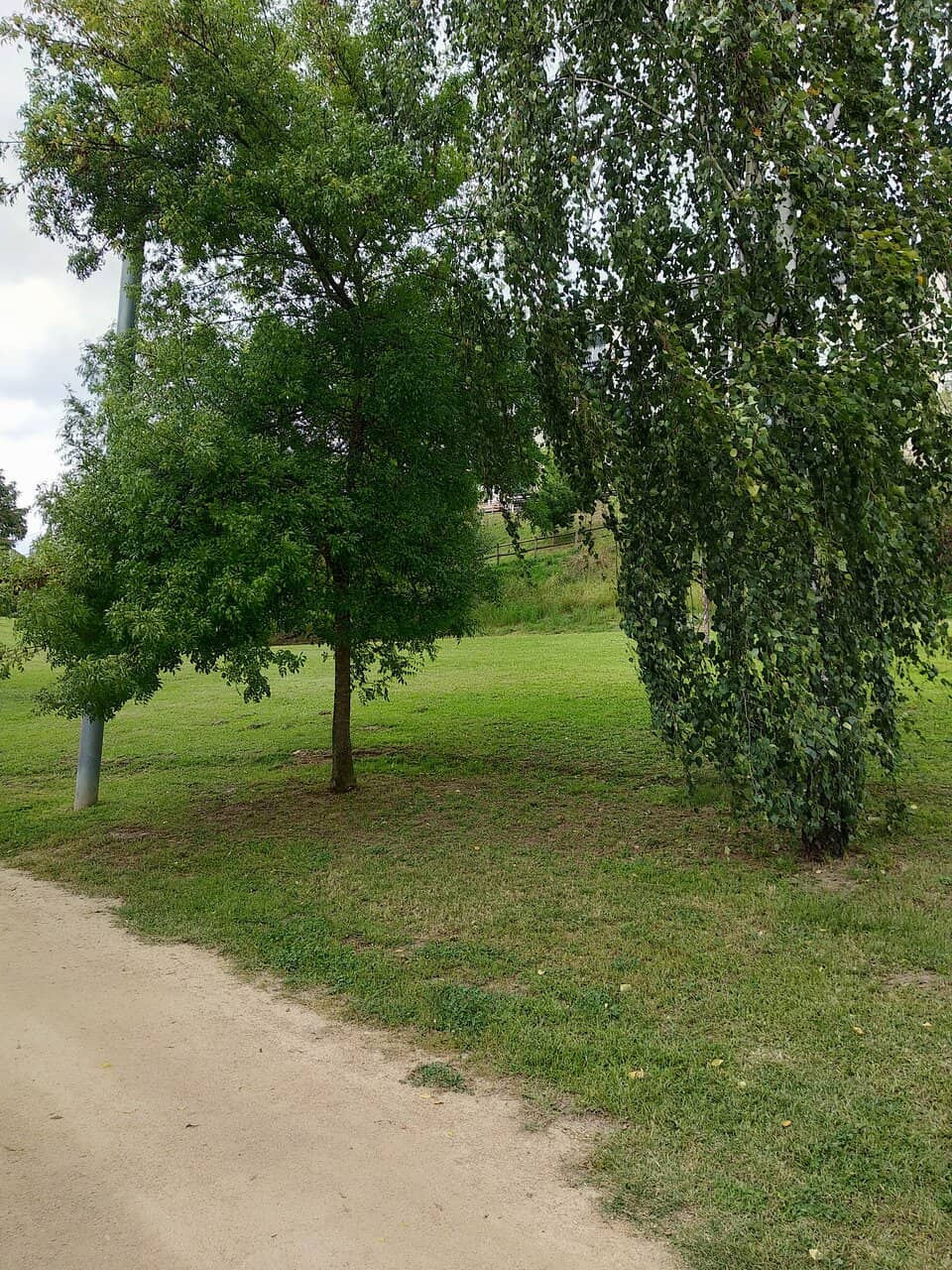Vertical photo