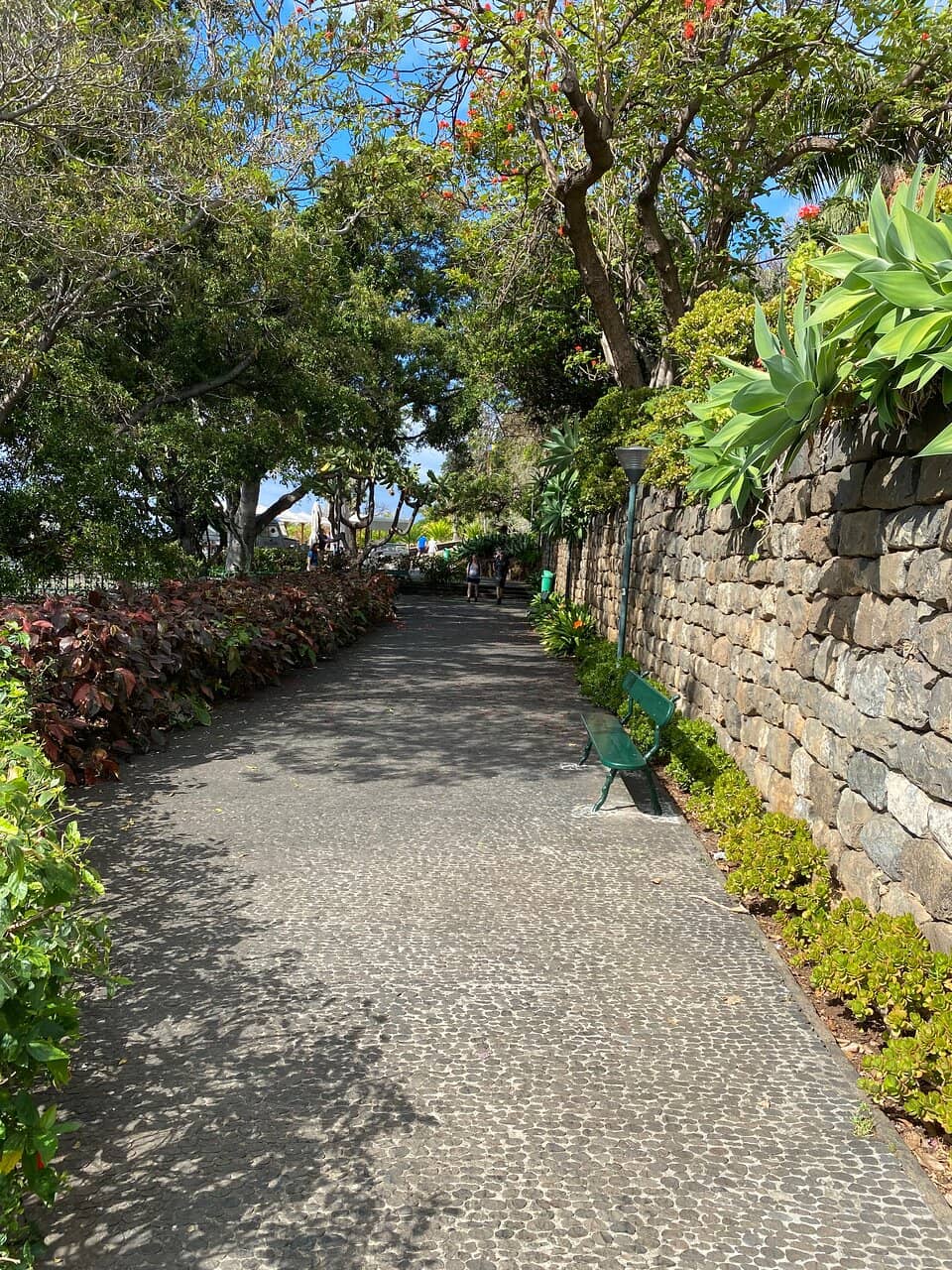 Tranquil Ponds & Waterfowl