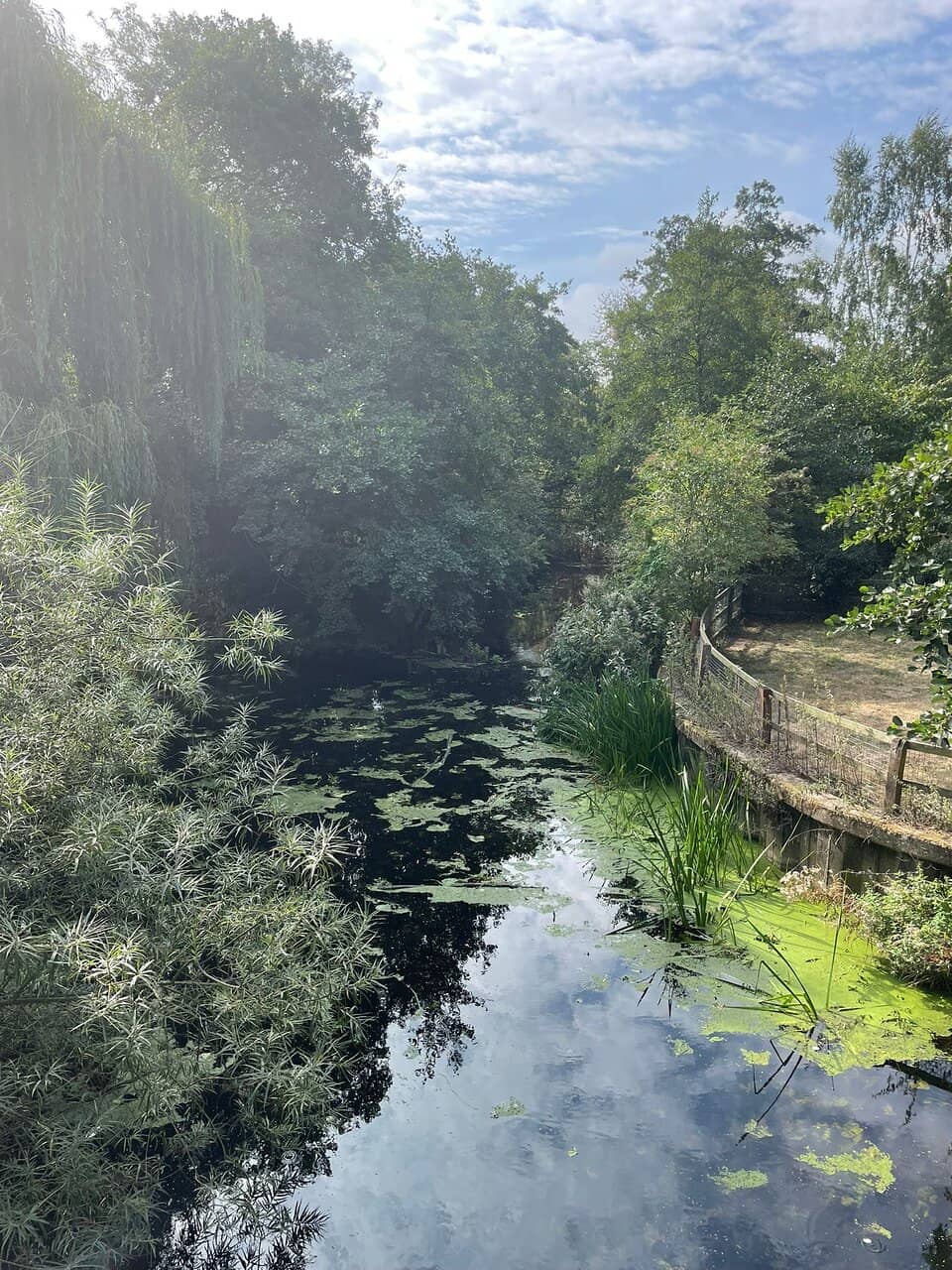 Playground & Picnic Spots