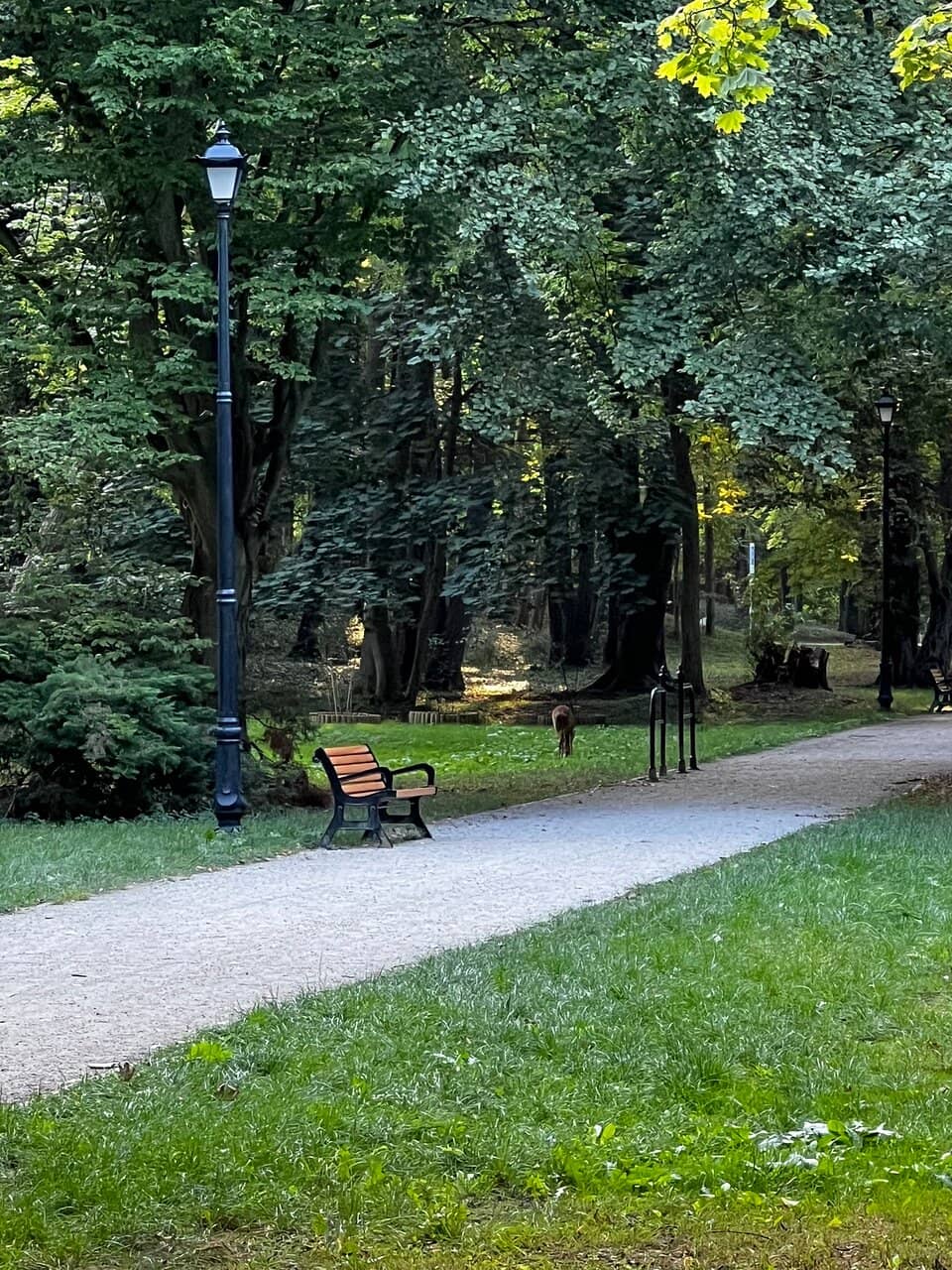 Fountains and Sculptures