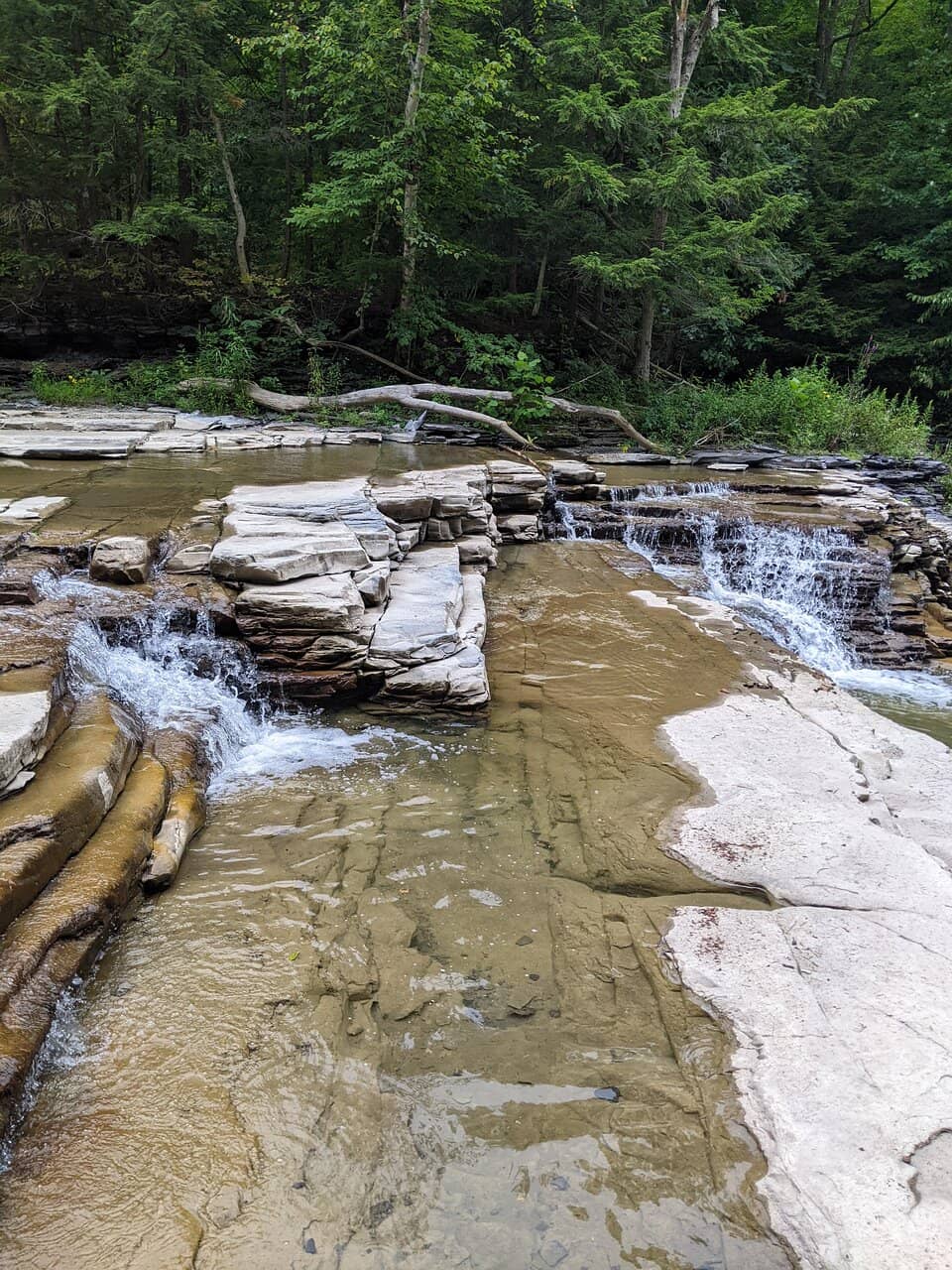 Wintergreen Falls (2025) – Best of TikTok, Instagram \u0026 Reddit Travel Guide, image size:960x1280