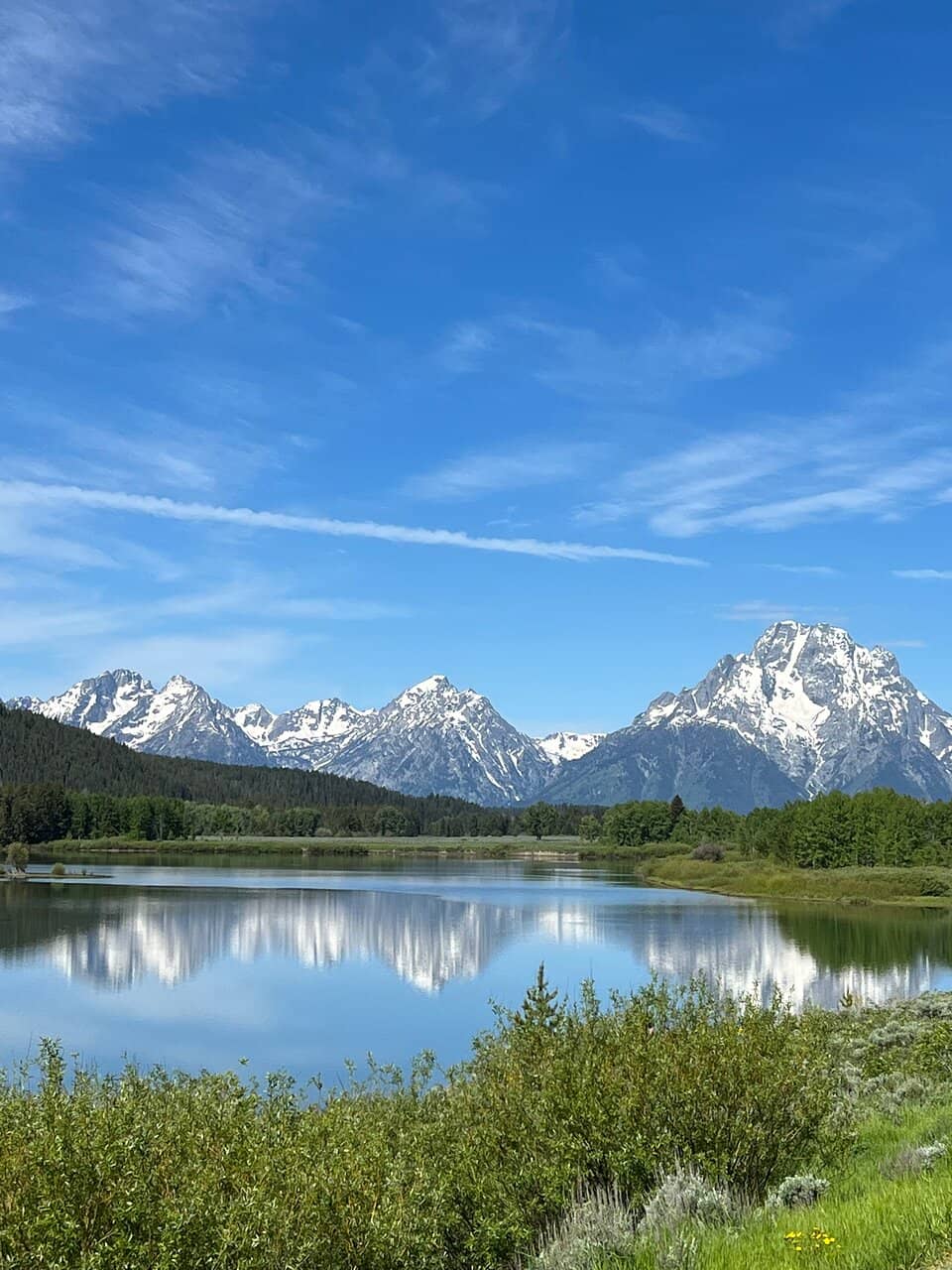 Abundant Wildlife Viewing