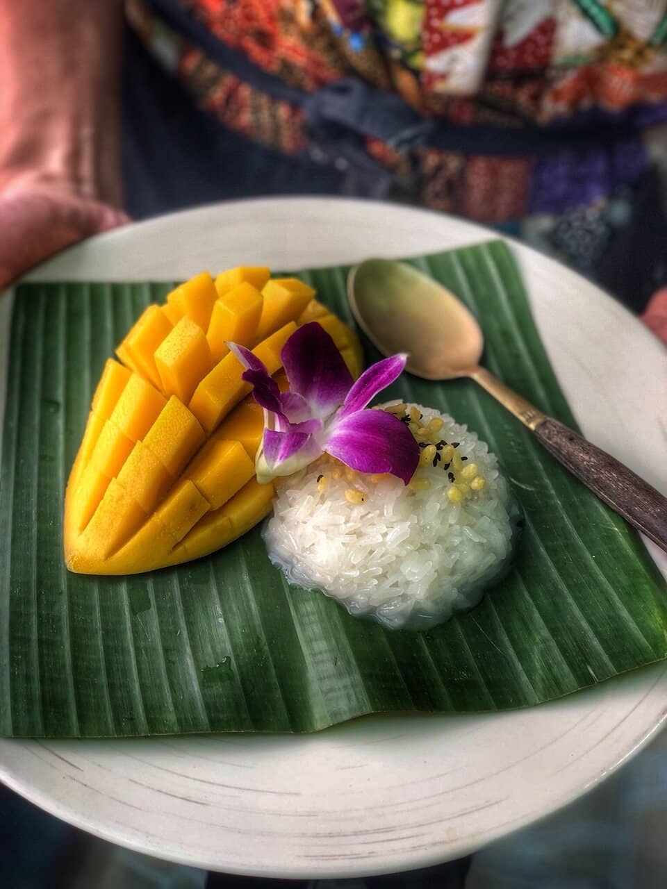 Hands-On Thai Dish Creation