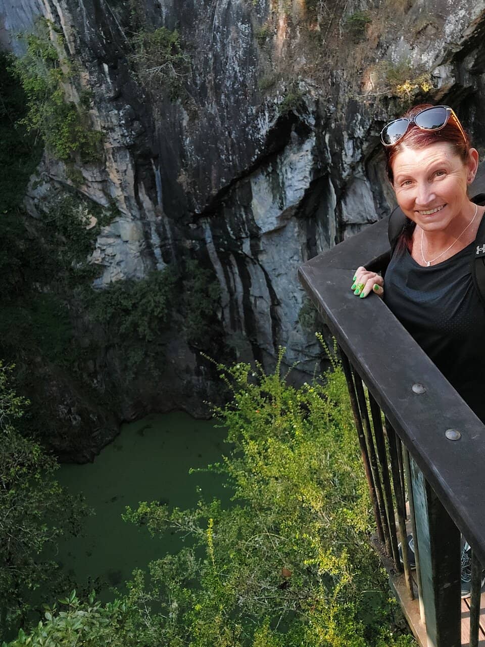 Rainforest Circuit Walk