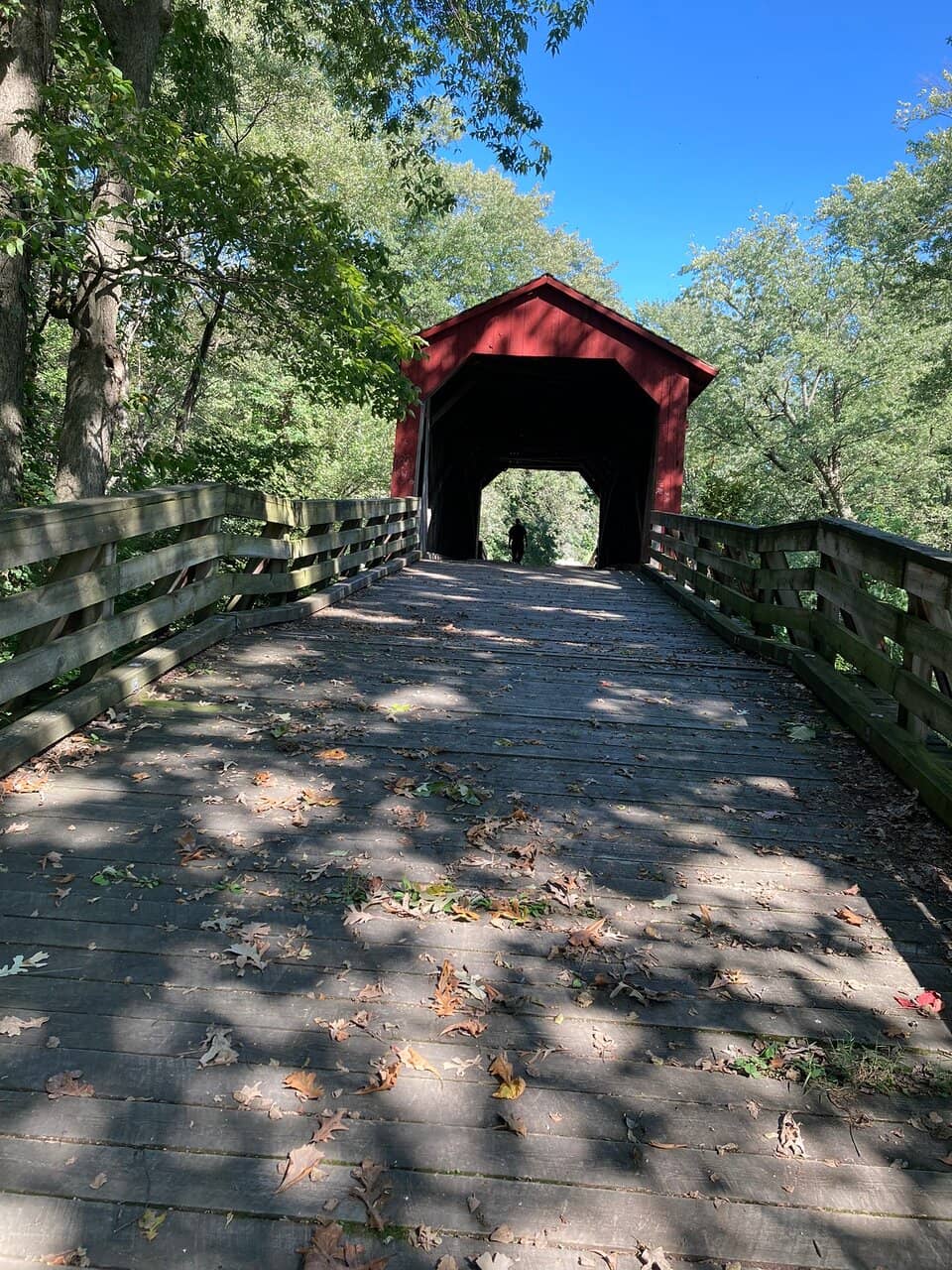 Fall Foliage Spectacle