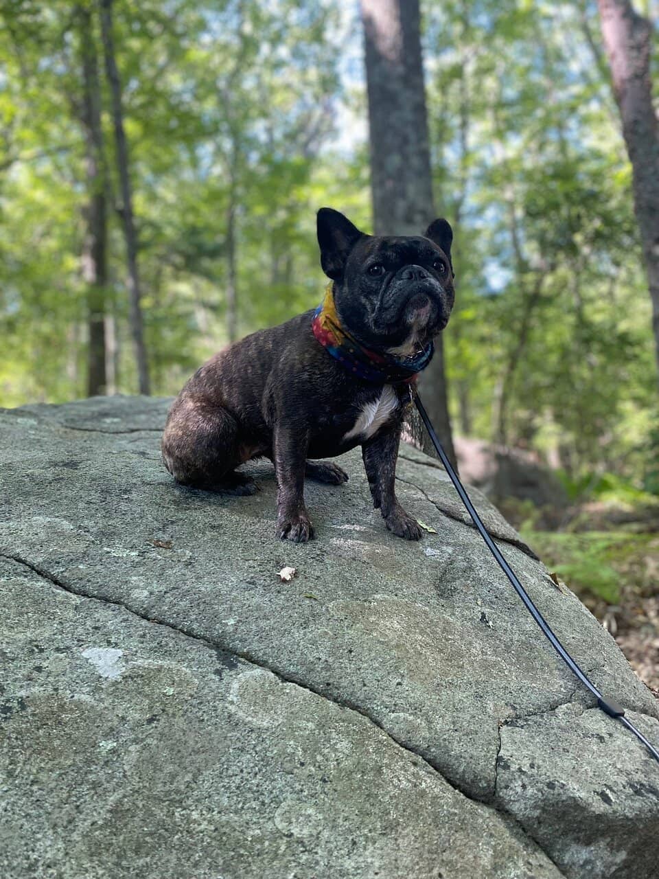 Boulder-Lined Trails