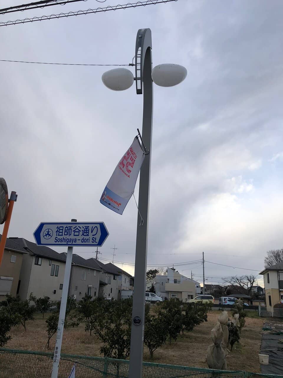 Themed Lampposts and Flags