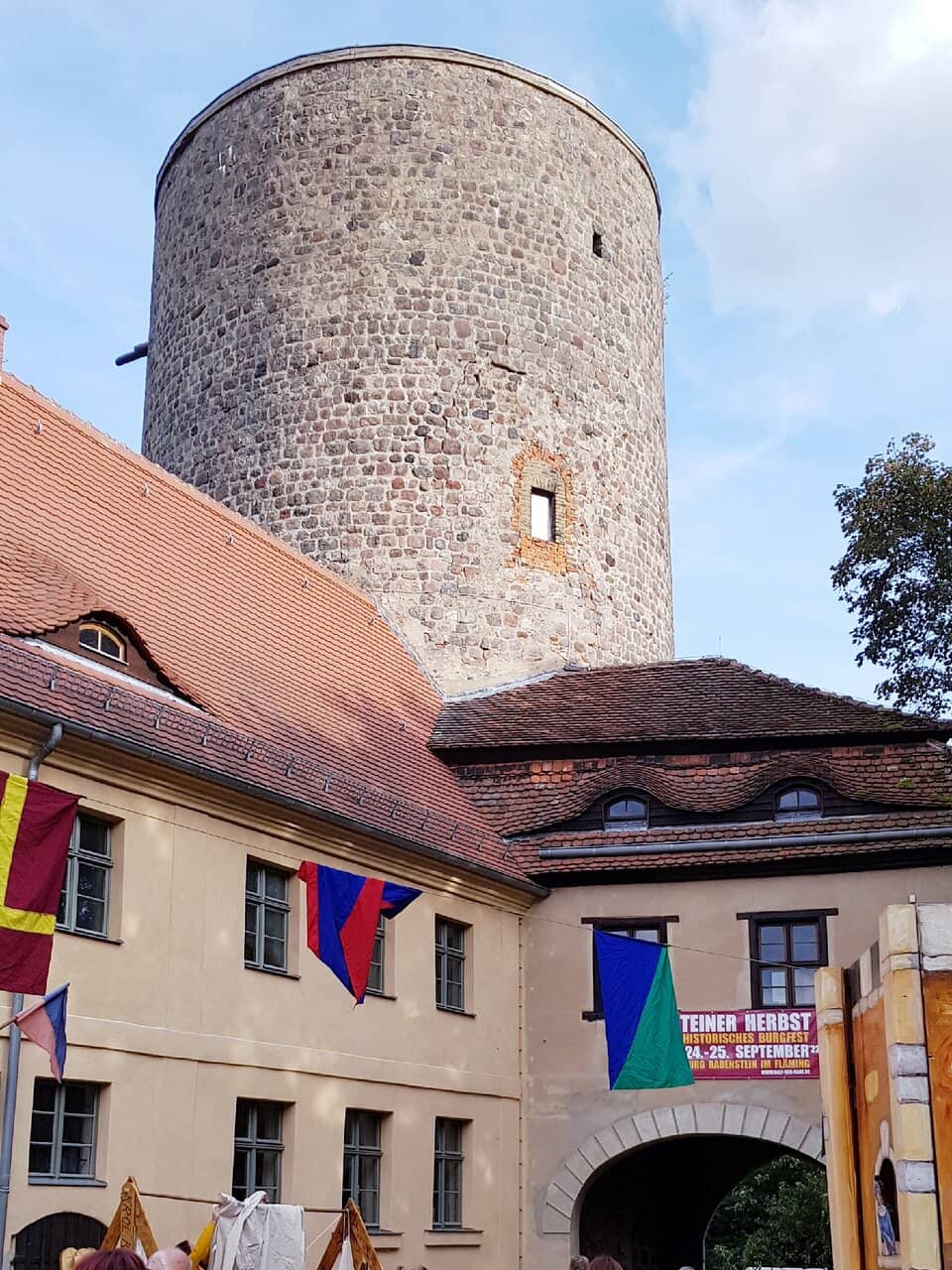 Scenic Park Ambiance