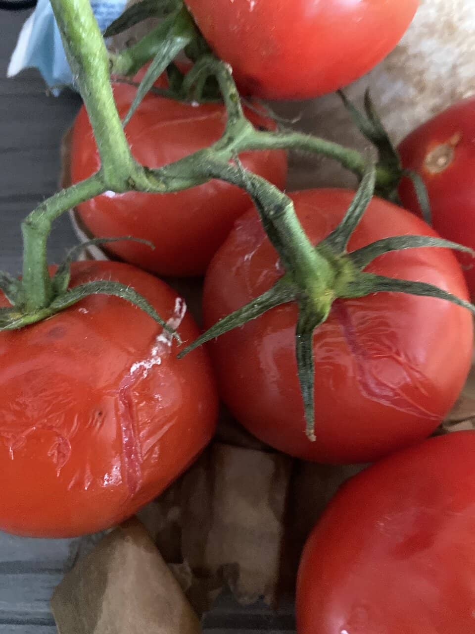 Local Food & Drink Delights