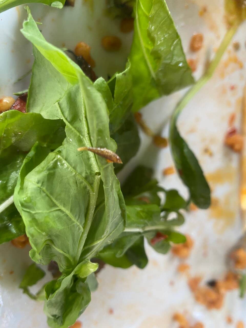 Refreshing Chopped Salads