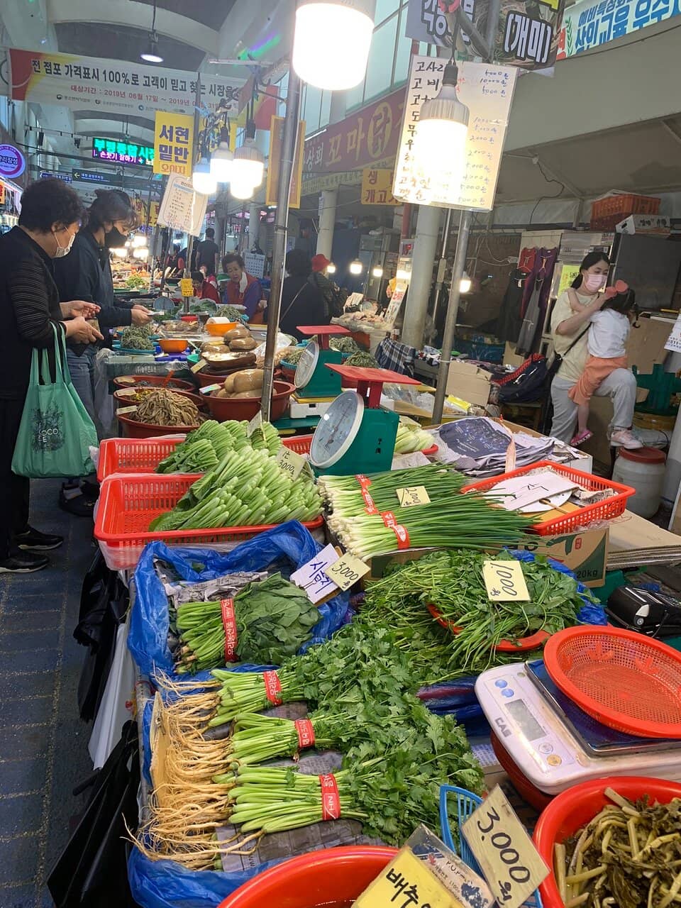 Traditional Market Buzz