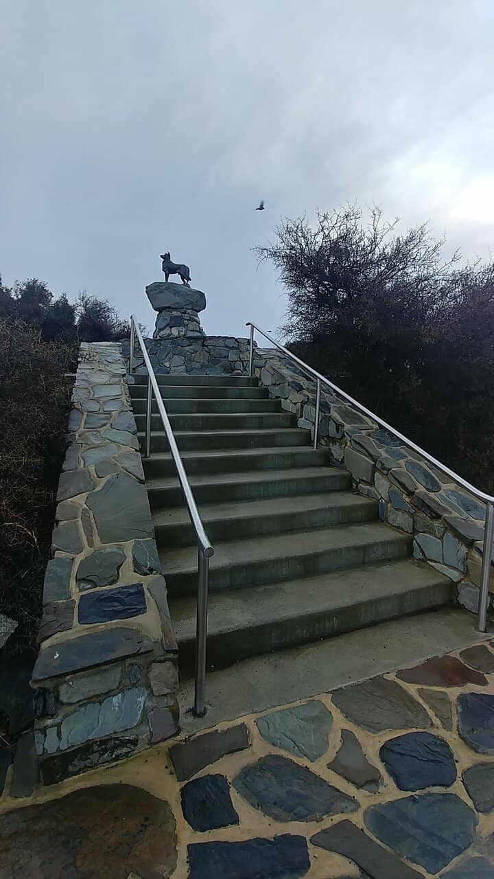 Lake Tekapo's Serene Shores