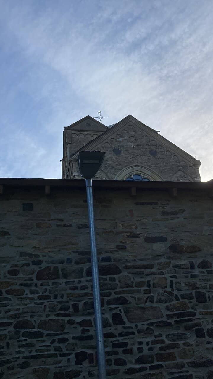 Organ and Vaulted Ceilings