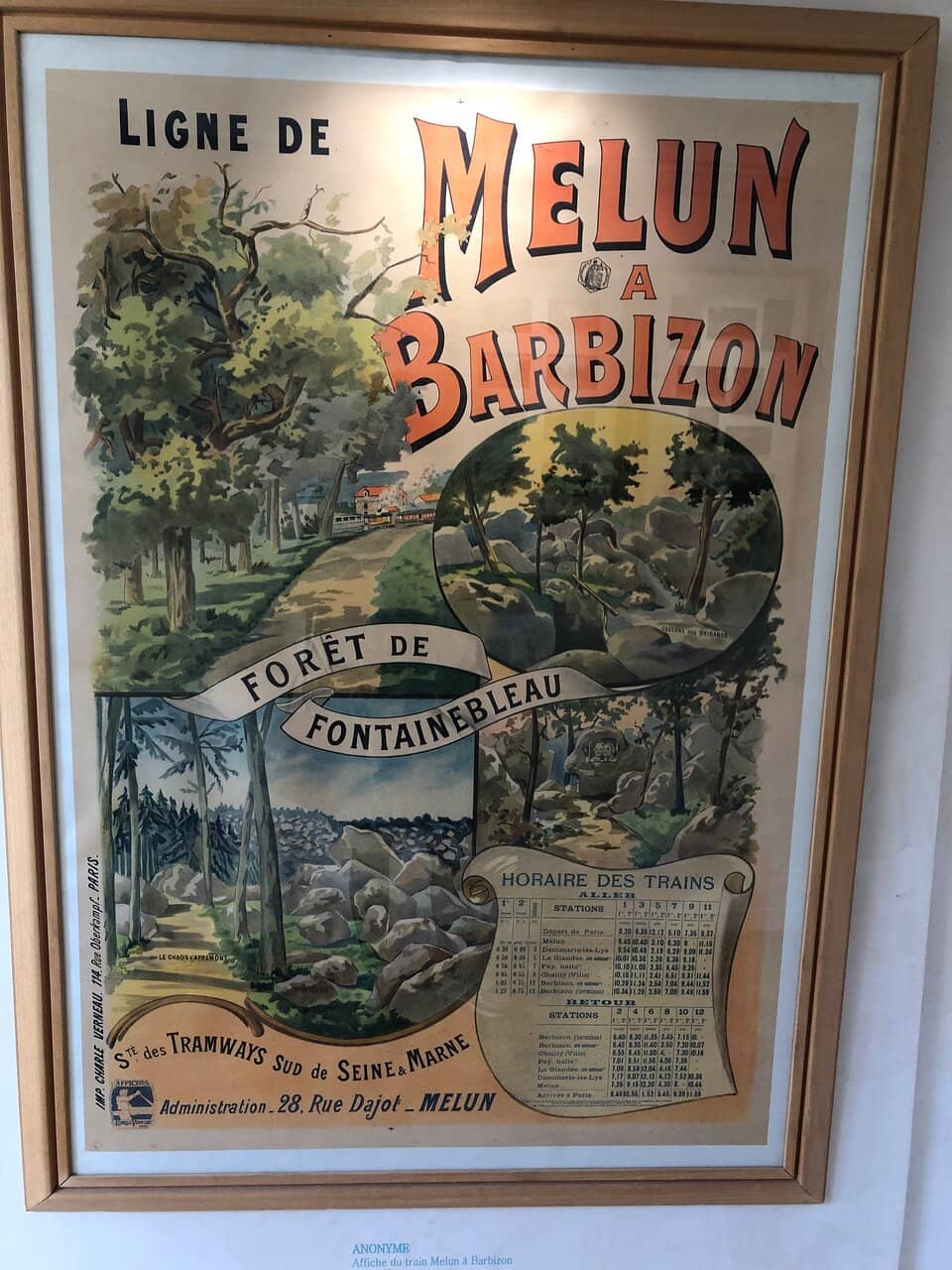 Fontainebleau Forest