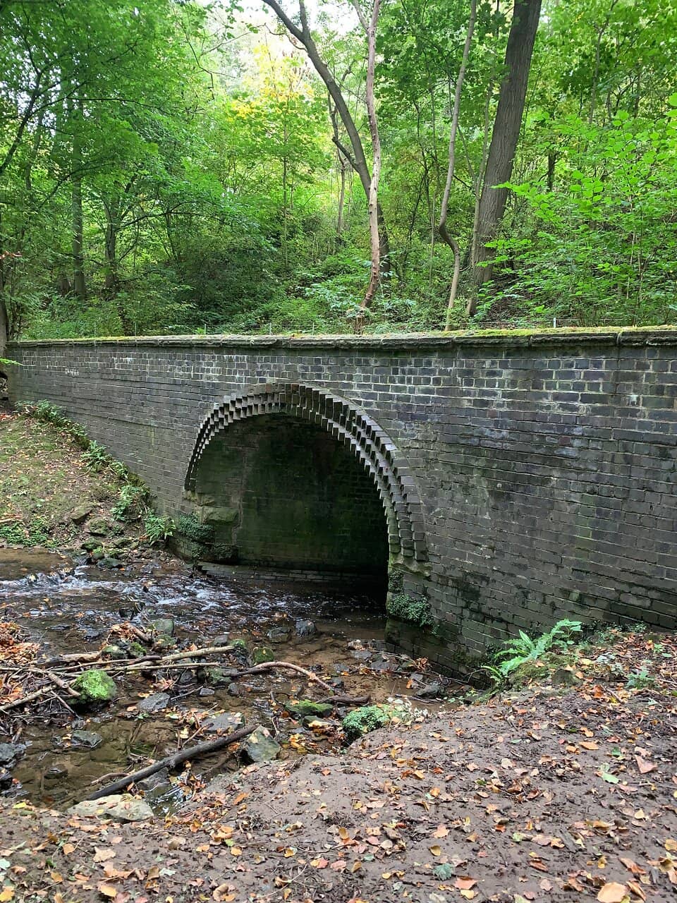 Historic Woodland Walks