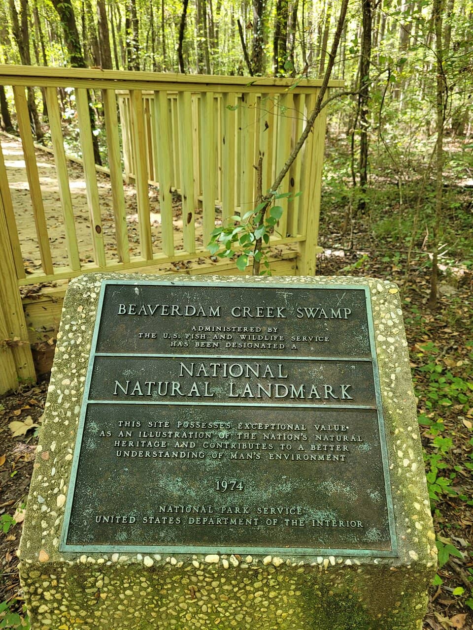 Blackwell Swamp Exploration