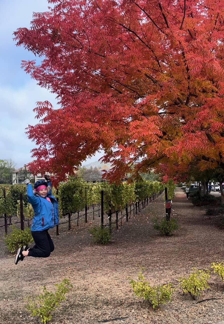 Yountville to Napa Stretch