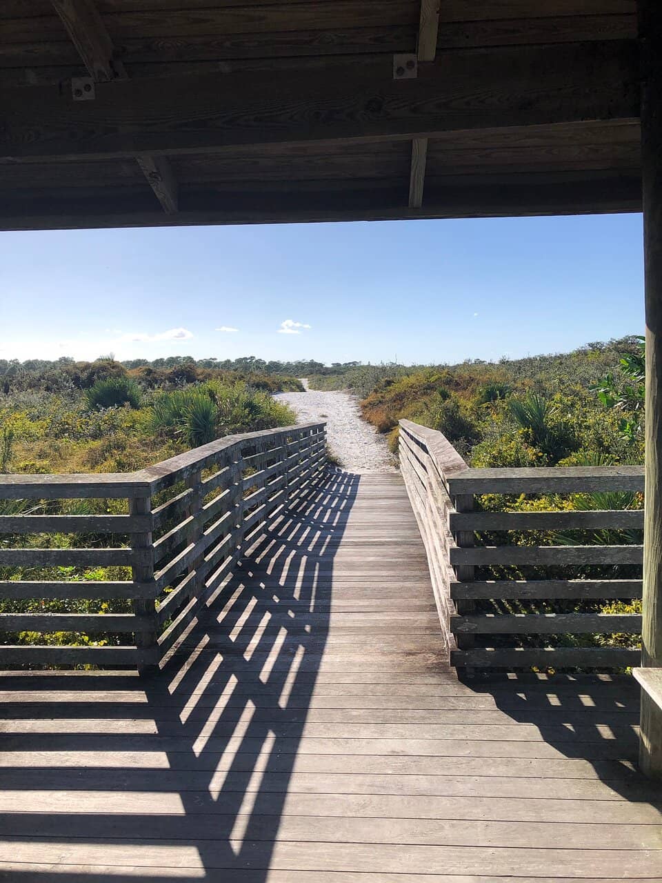 Coastal Hammock Trails