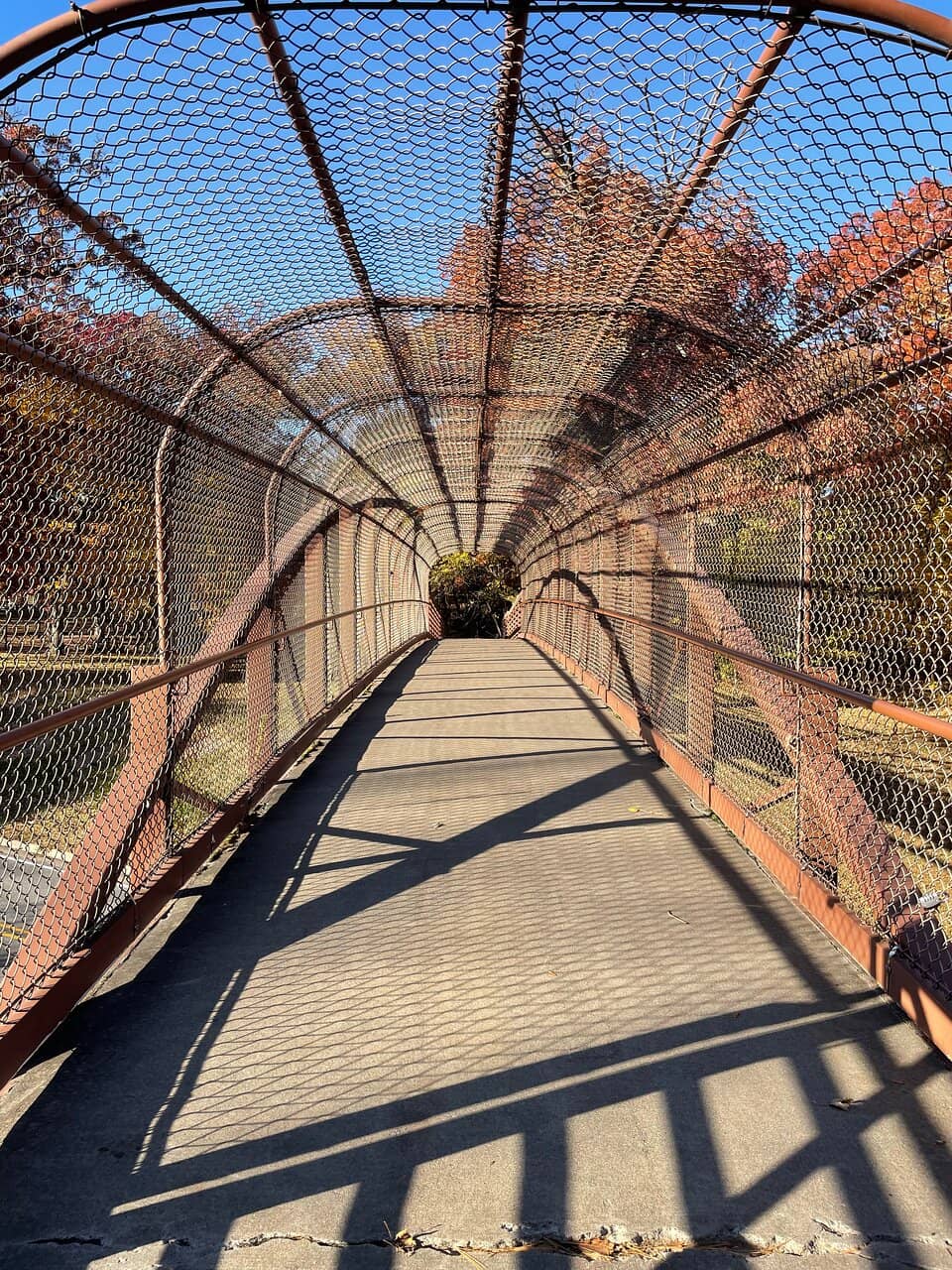 Illiniwek Village Site