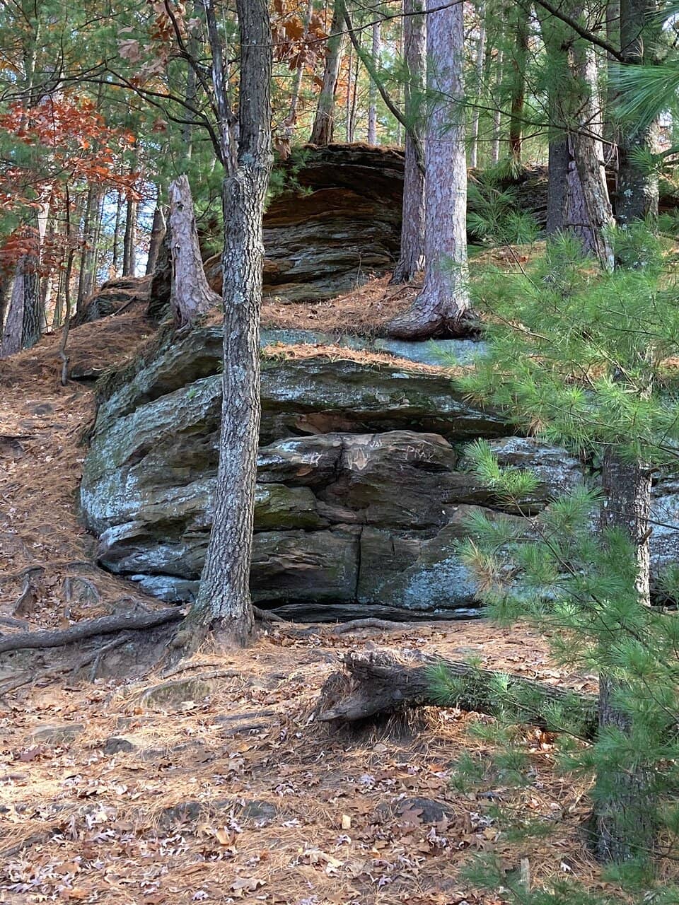 Upper Dells Boat Tour