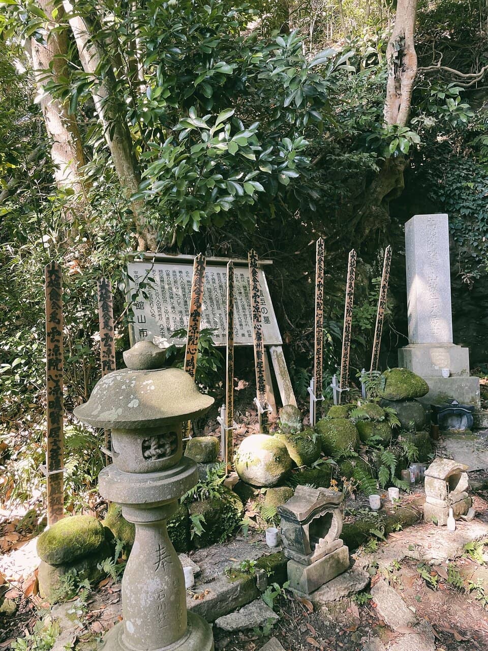 Cherry Blossom Spectacle