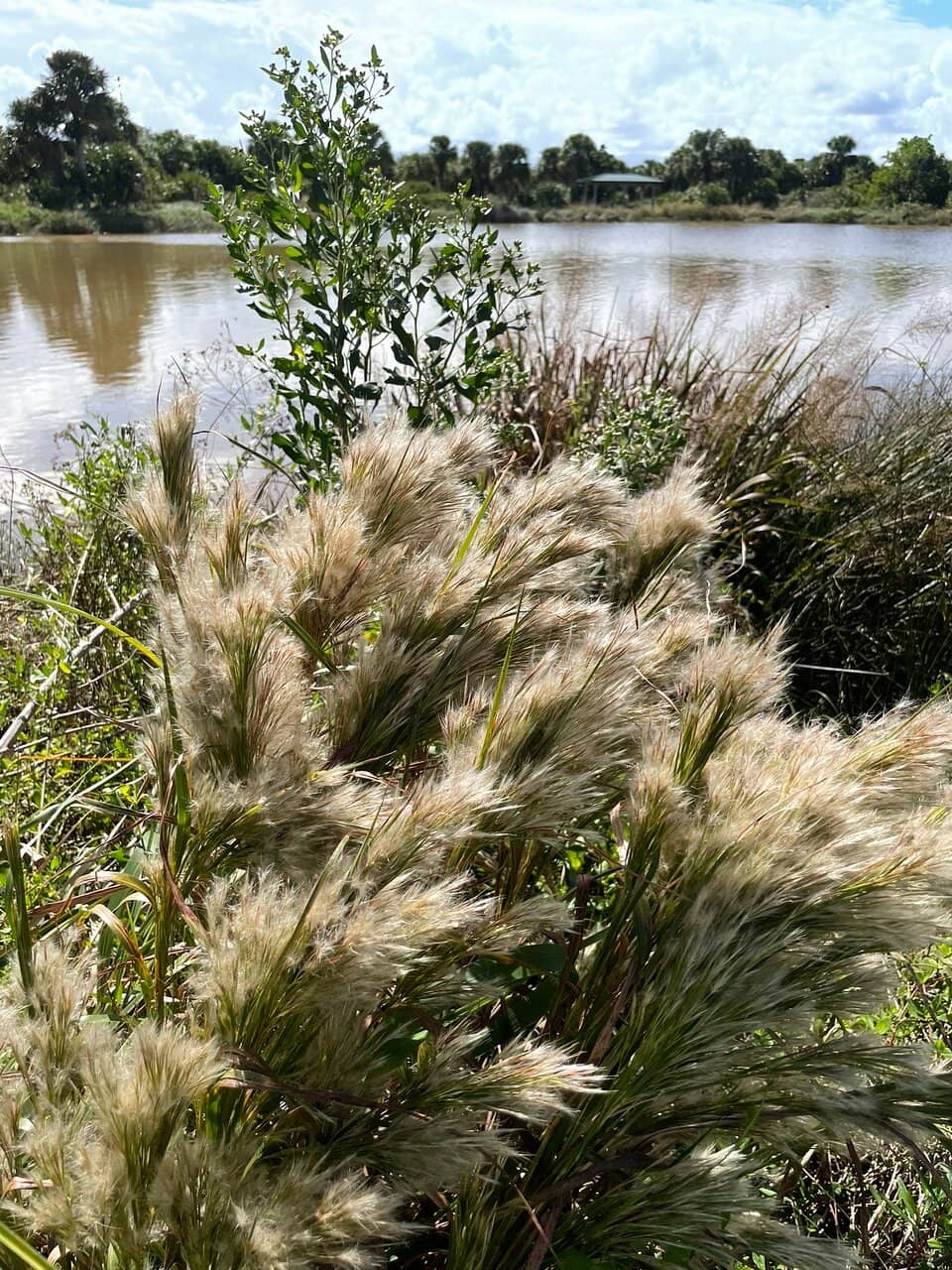 Historic Jungle Trail