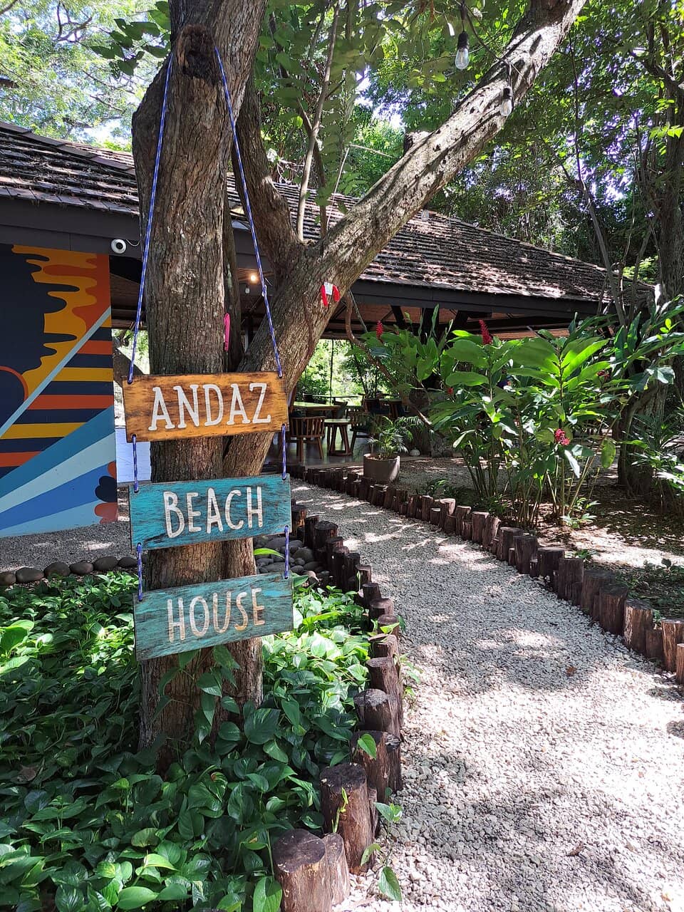 Lush Greenery & Boardwalk