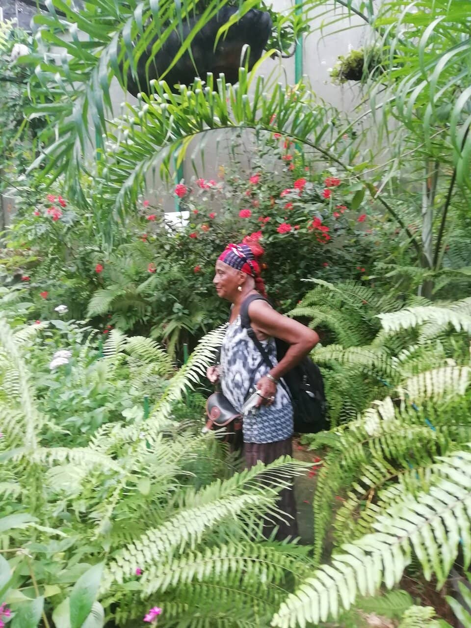 Lush Tropical Gardens