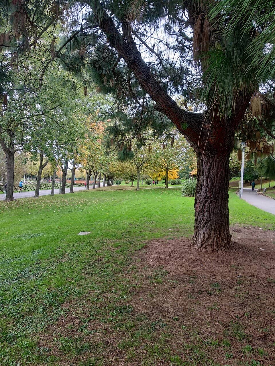 Community Performances