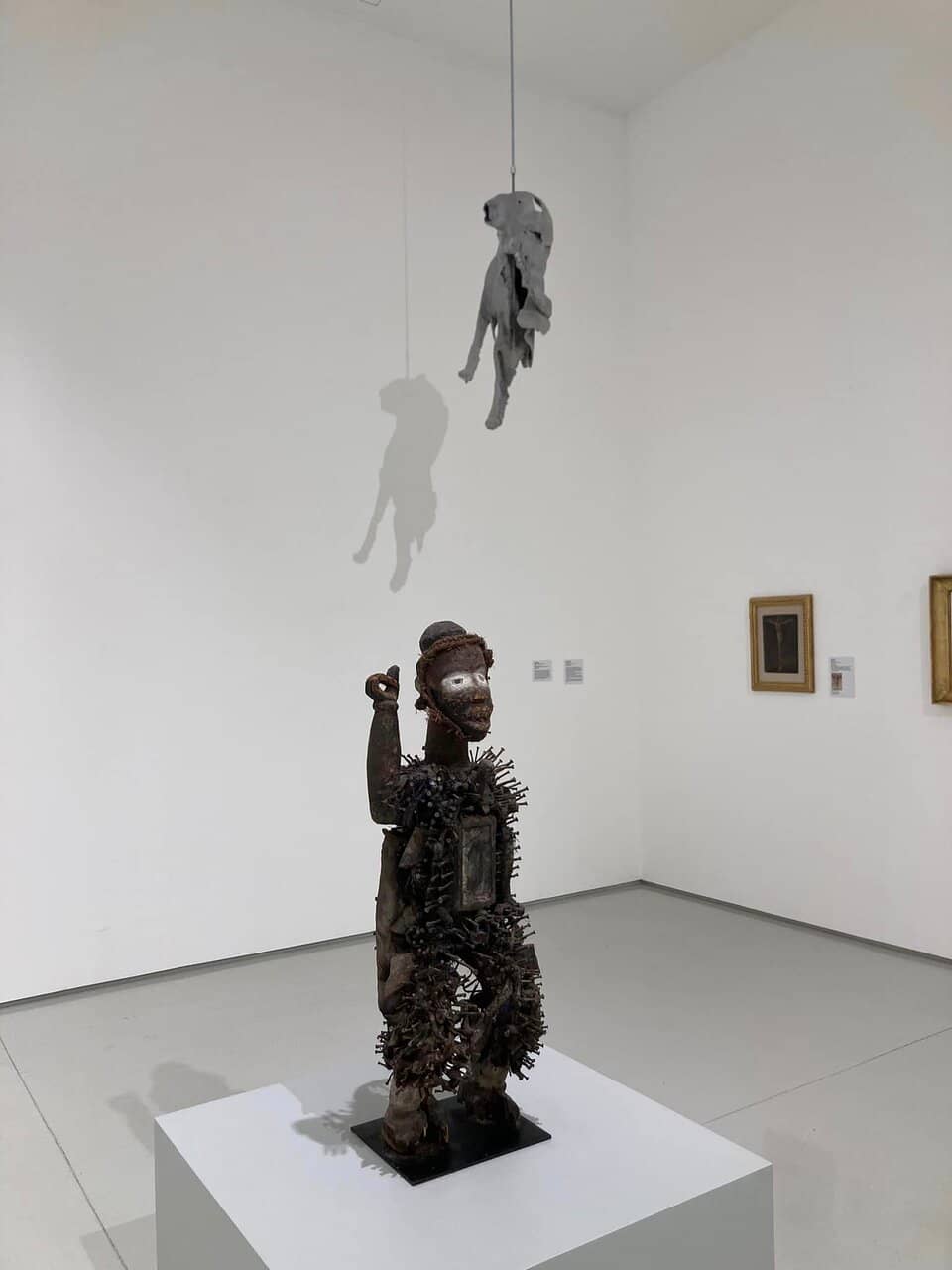 The Shark Installation