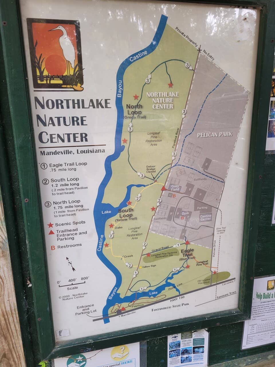 Diverse Wildlife Viewing