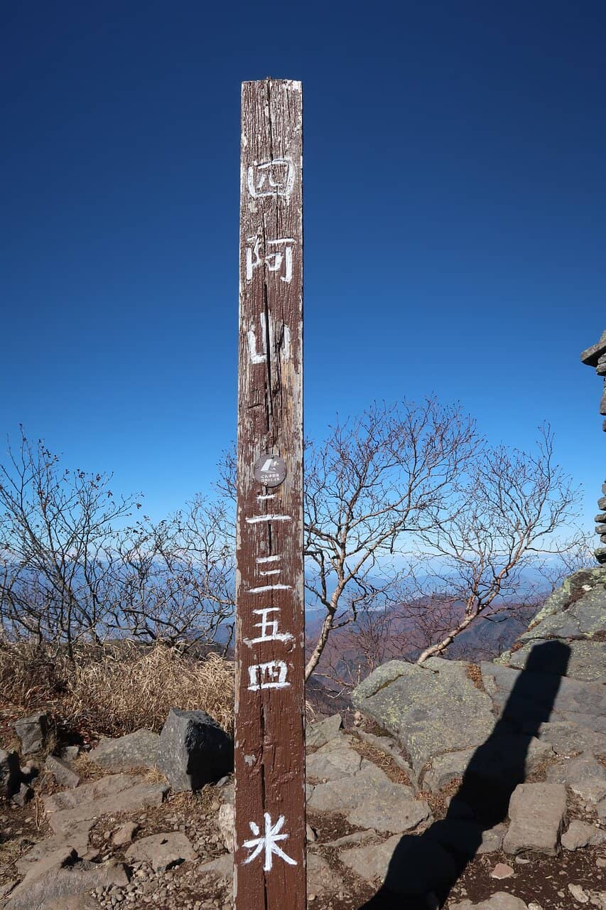 Scenic Forest Trails