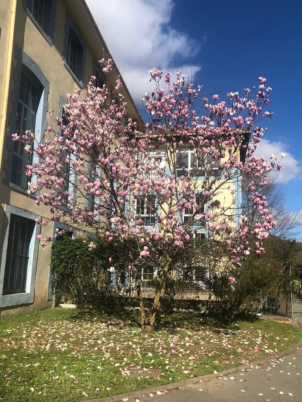 The Historic Beret-Making Machines